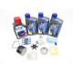 Kit di manutenzione Suzuki DF40A 100h-9