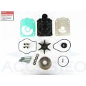 Kit pompa acqua Honda BF175A (con alloggiamento della pompa dell'acqua)