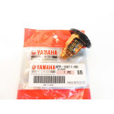 Kit di manutenzione Yamaha F100F